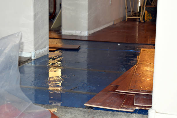 Professional Water Damage Restoration technician working in Thompson, ND